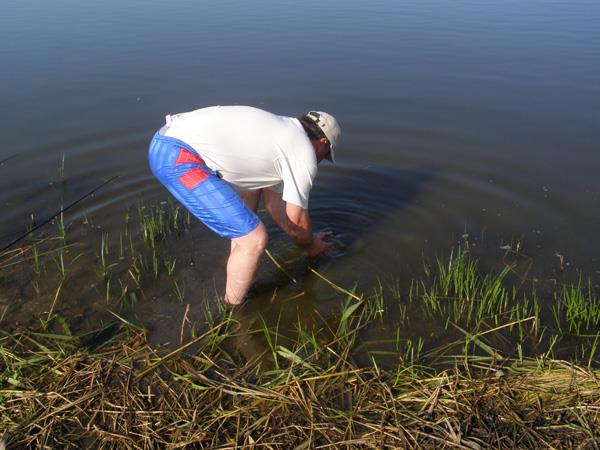 De pe ... balti ... 1 - p5245253.jpg